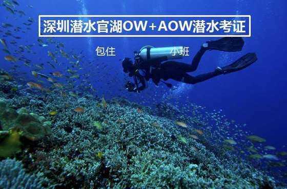 客房服务